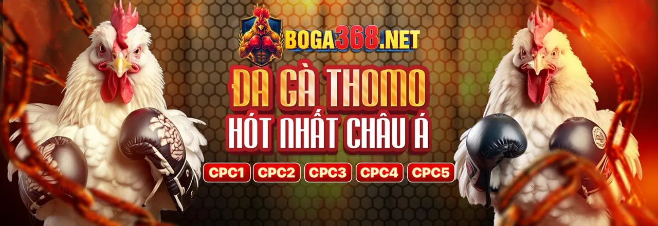 Sân đấu đá gà kịch tính tại 78bet